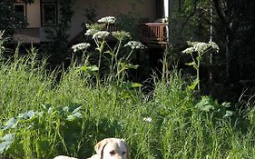 Eagle Peak Guesthouse